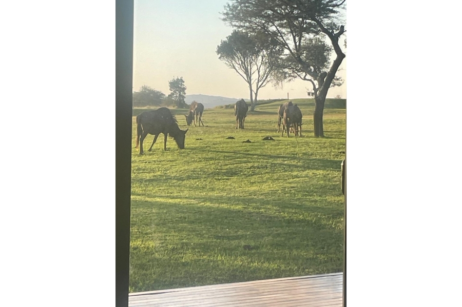 4 Bedroom Property for Sale in Olivewood Private Estate and Golf Club Eastern Cape